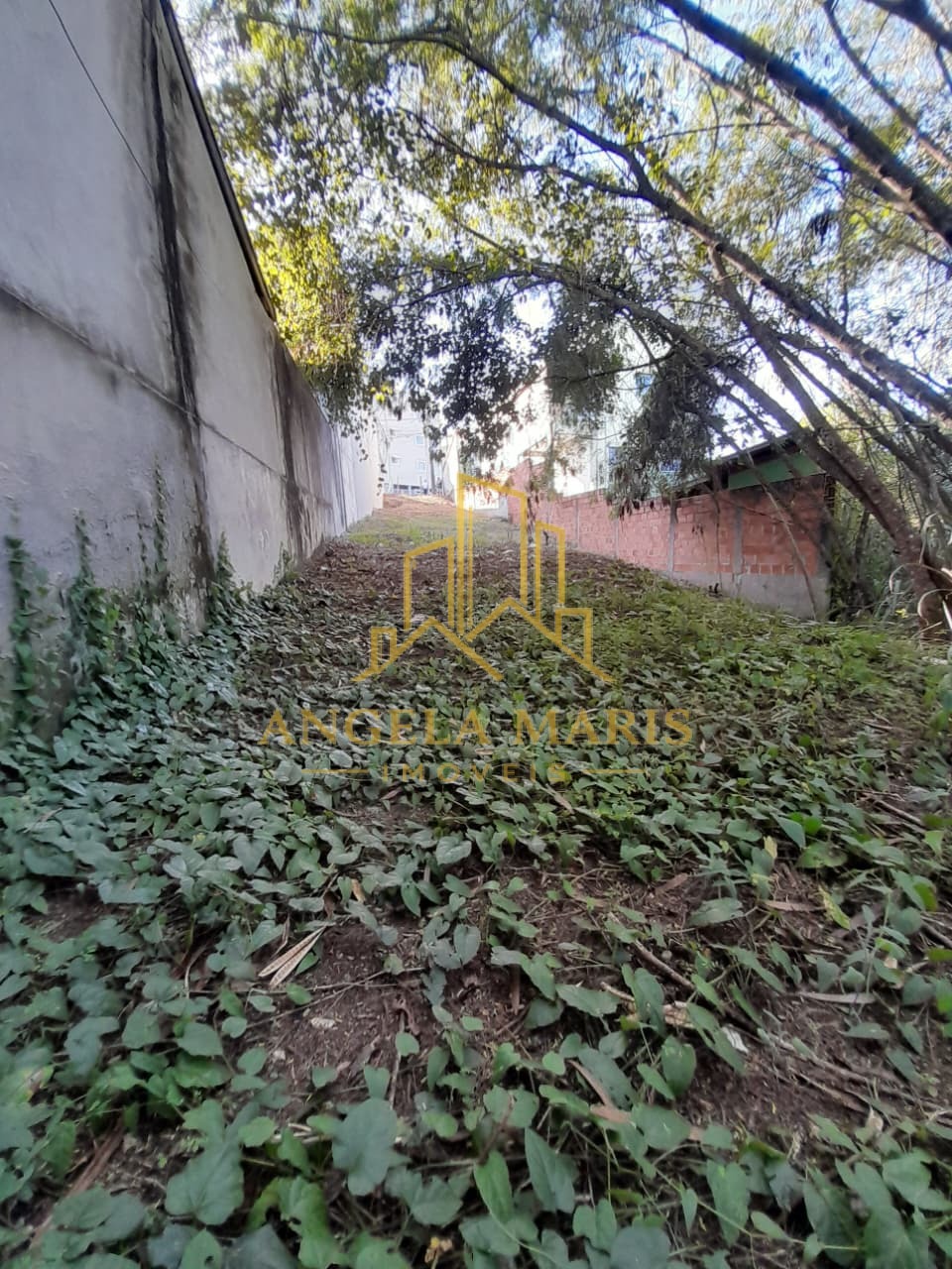 Terreno, 303 m² - Foto 6