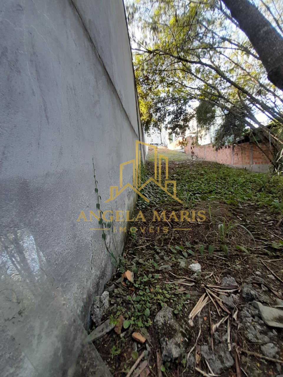 Terreno, 303 m² - Foto 8