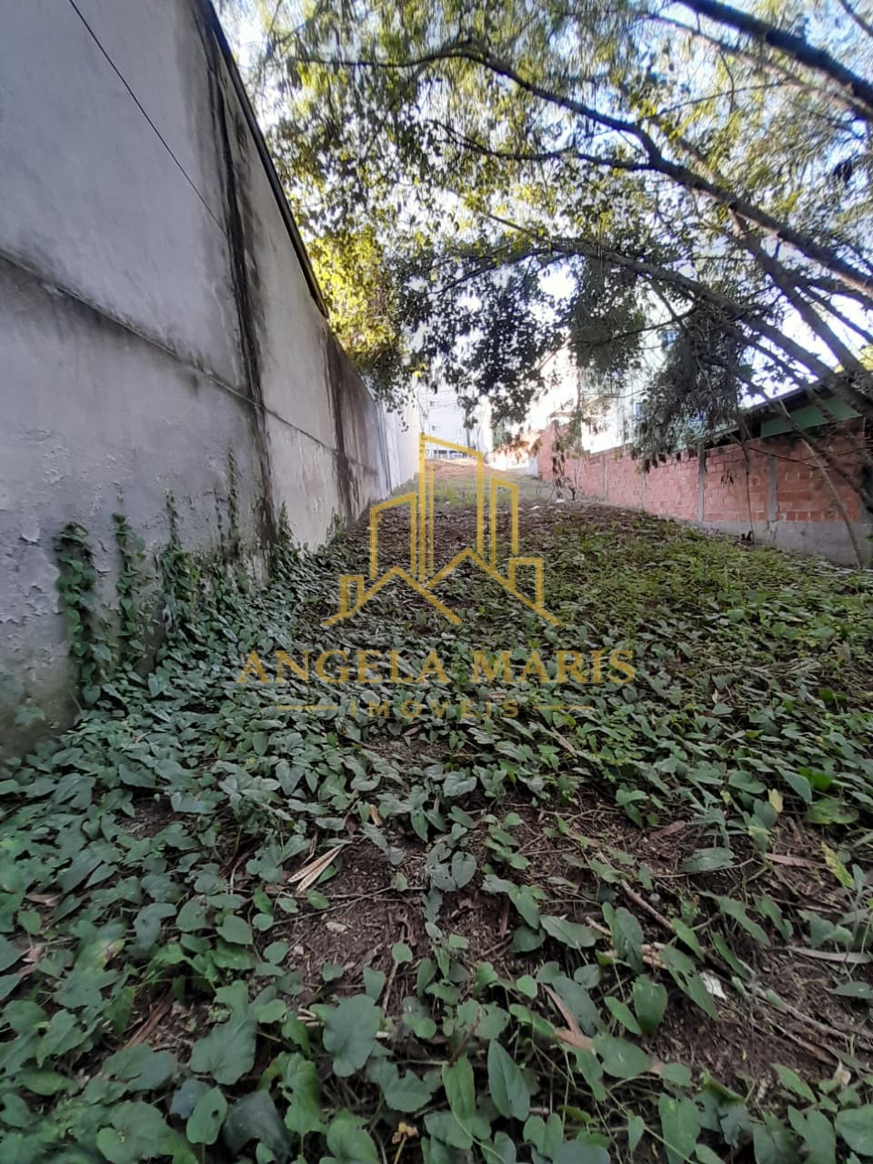 Terreno, 303 m² - Foto 9
