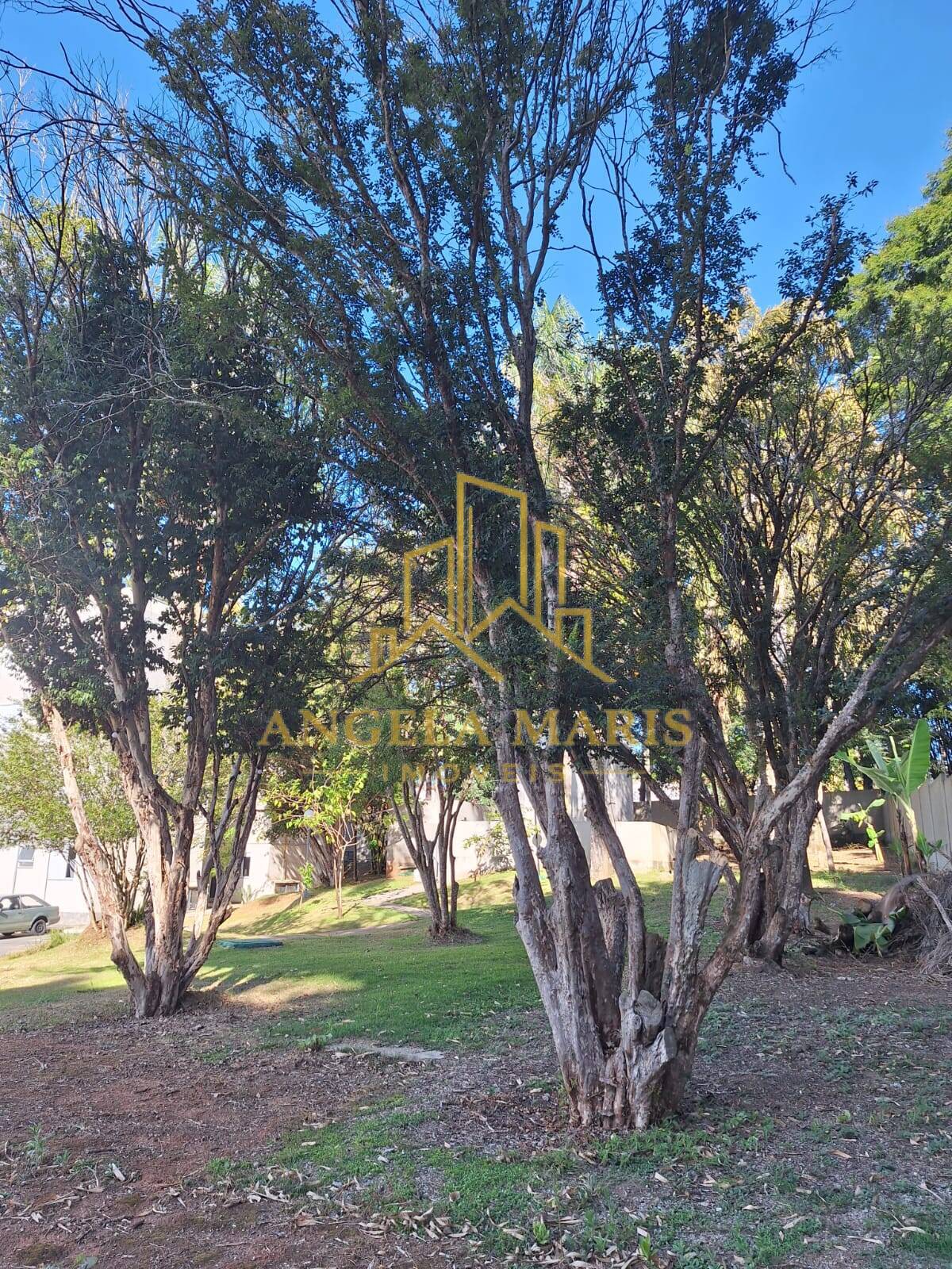Apartamento, 2 quartos, 40 m² - Foto 29